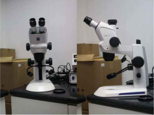 立体显微镜及其配套系统
